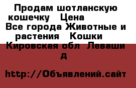 Продам шотланскую кошечку › Цена ­ 10 000 - Все города Животные и растения » Кошки   . Кировская обл.,Леваши д.